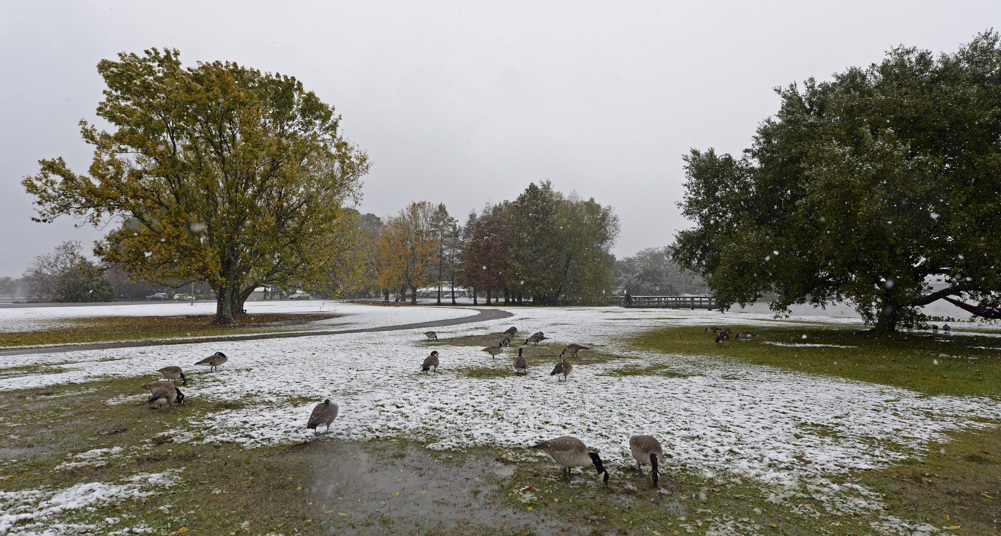 BR.snow.120917 HS 1036.JPG